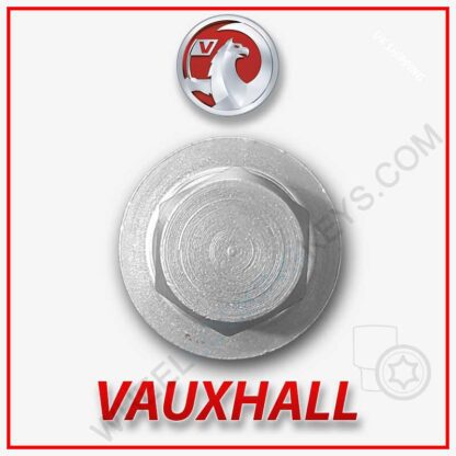 Vauxhall LWN KEY on white background